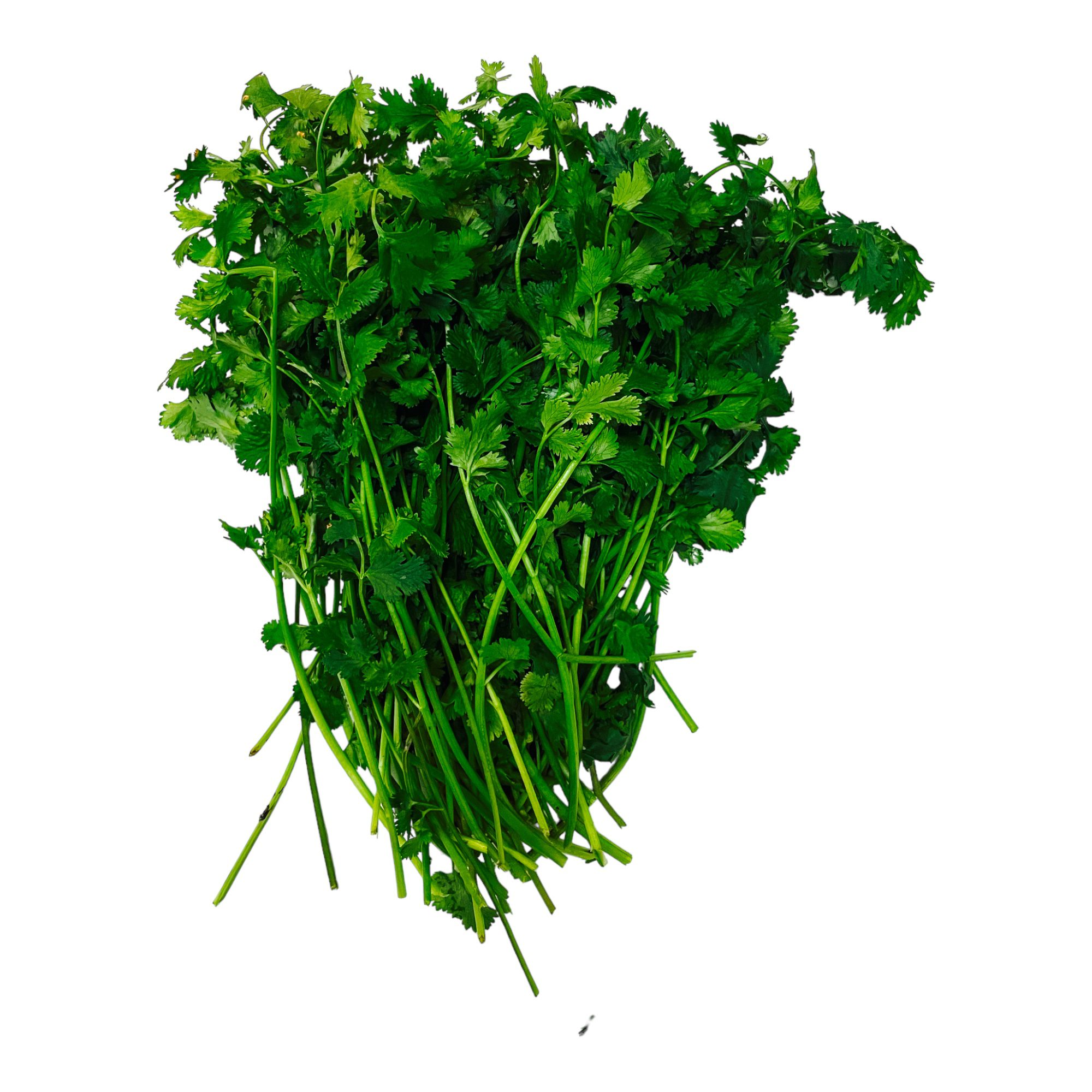 Coriander Leaves Fresh 50g