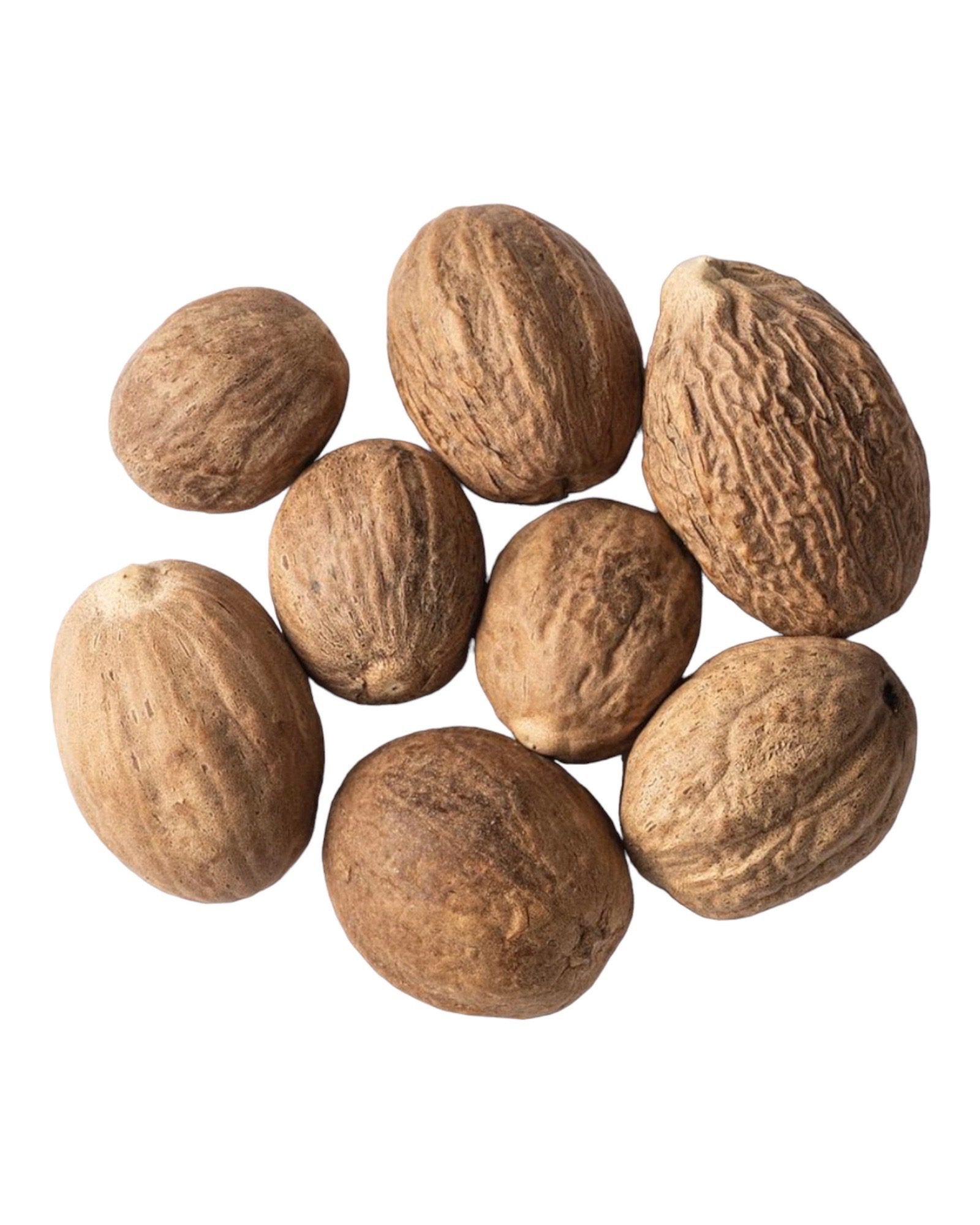 Nutmeg Whole(Muskatnuss)Heera 100g - Image 2